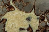 Polished Septarian Nodule End-Cut - Utah #378407-1